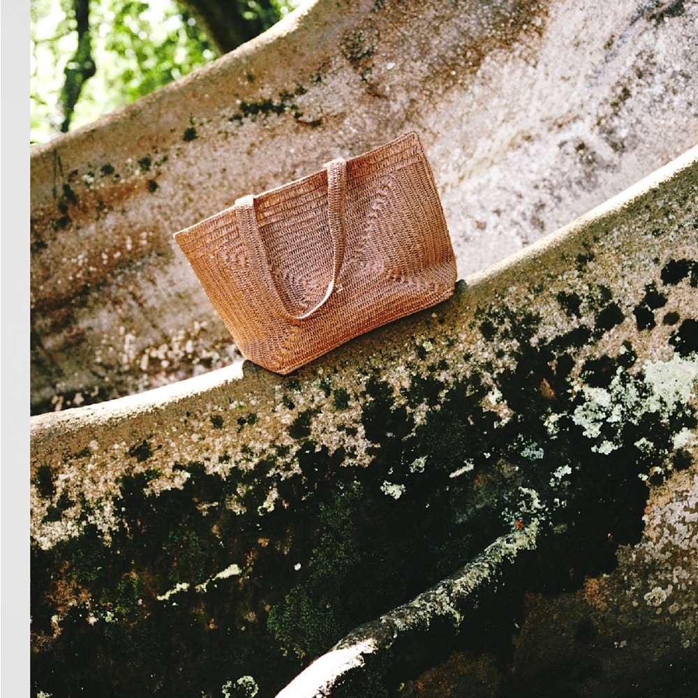 Aritzia Curio Tote
